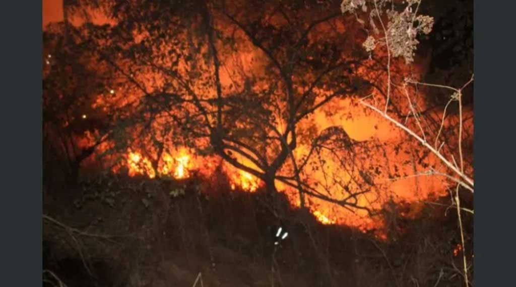 el-salvador-on-alert-due-to-forest-fires
