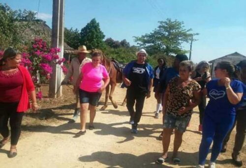 arnaldo-diputado-500x342