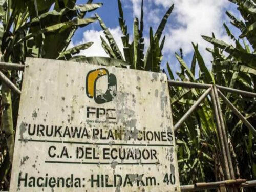 empresa-japonesa-500x375