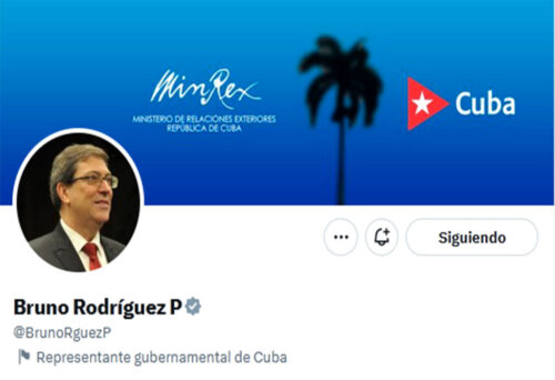 twitter-Bruno-500x342