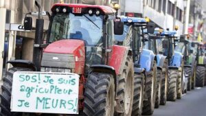 Agricultores-belgas
