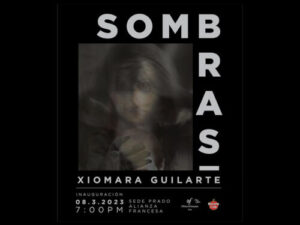 Xiomara-Guilarte-Sombras-500x375