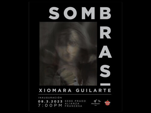 Xiomara-Guilarte-Sombras-500x375