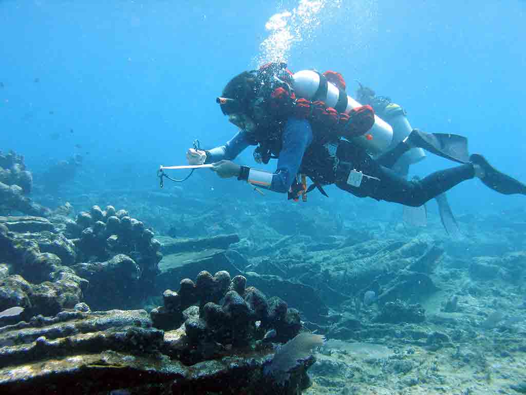 Meeting on underwater cultural heritage began in Cozumel (+Photos) - Vimarsana News