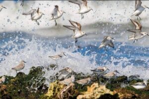 diaz-canel-1-1024x679