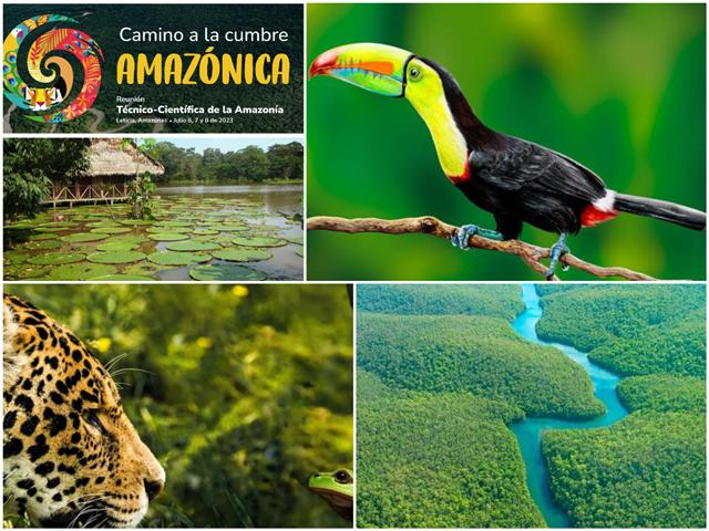 Amazonia