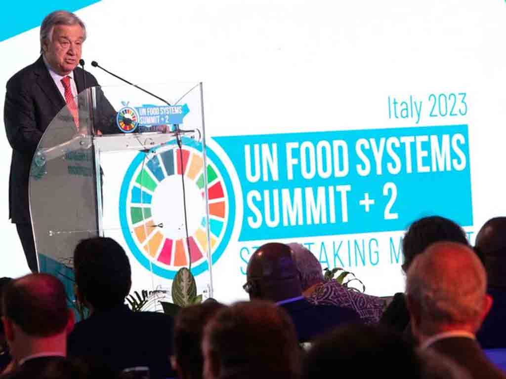 Italy hosts United Nations Summit on Food Systems - Vimarsana News