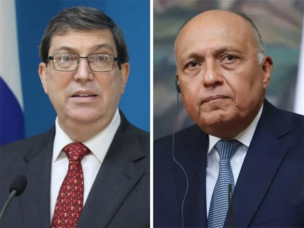 Sameh-Shoukry-y-Bruno-Rodriguez