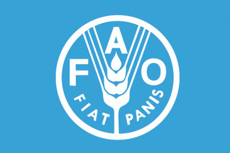 fao-1