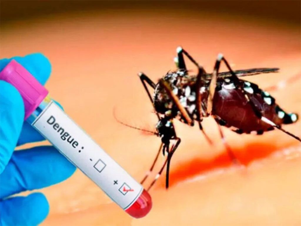 Dengue-Positivo-Mosquito
