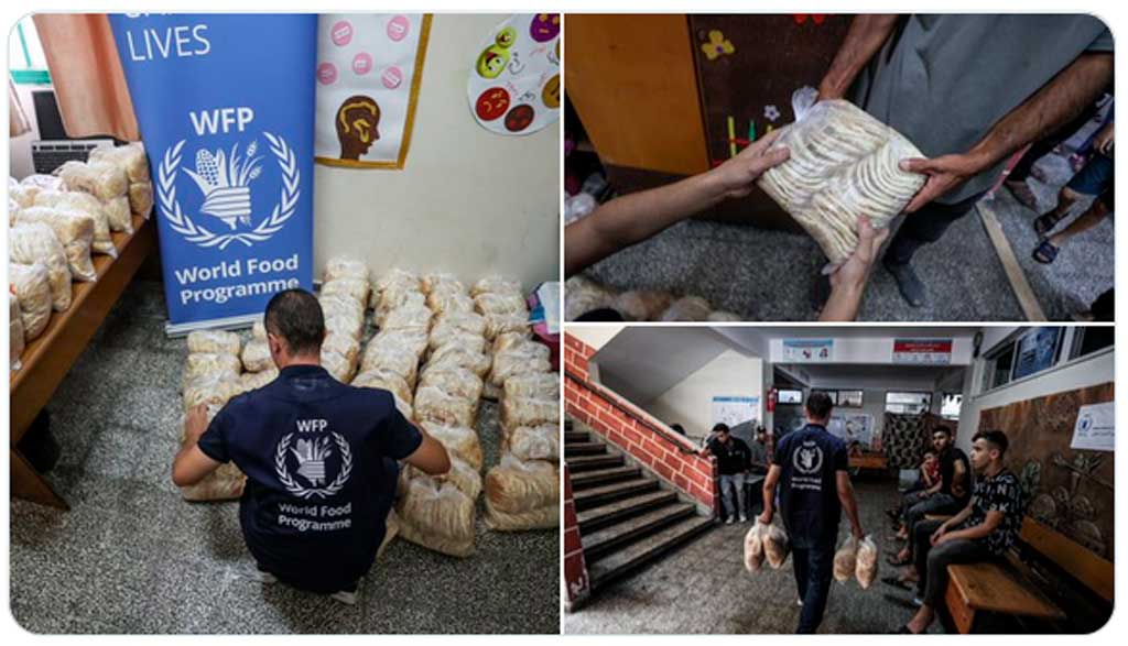 wfp-warns-of-food-crisis-in-gaza-strip