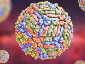 Virus-del-Nilo-Occidental