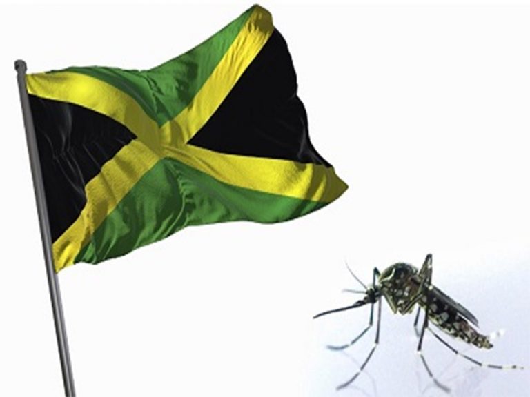 Jamaica-Dengue-768x576