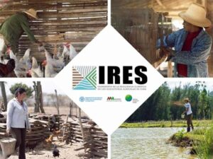 Cuba-Proyecto-Ires-768x576