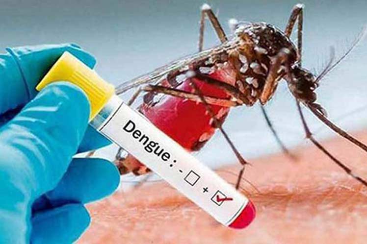 dengue-1-1