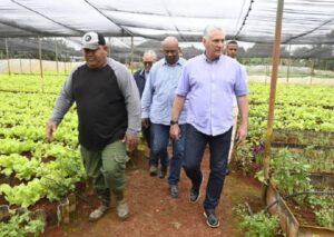 canel-agricultura-768x544