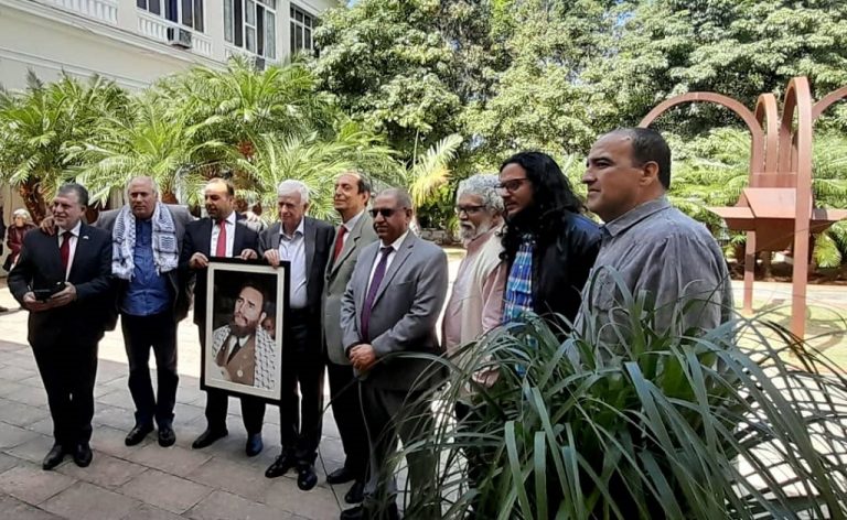 fotos-palestina-768x472