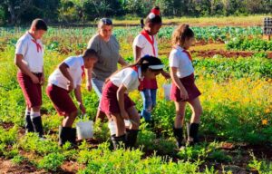 un-agencies-boost-nutritional-education-in-cuba