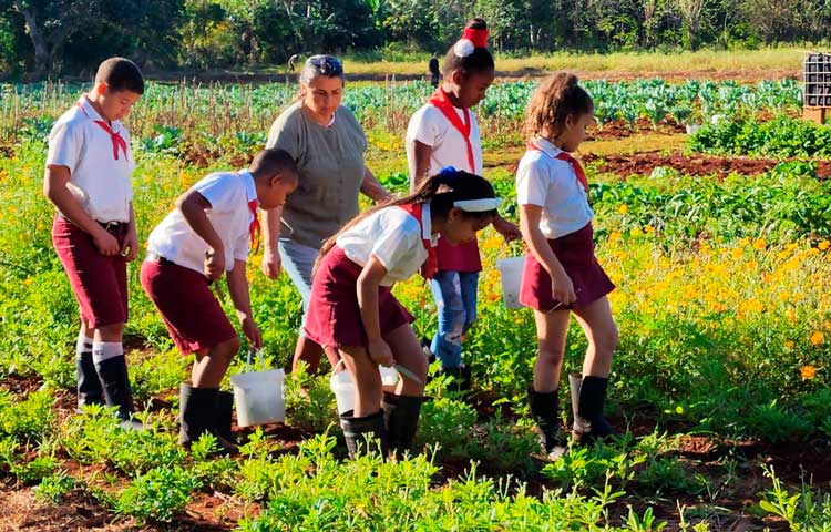 un-agencies-boost-nutritional-education-in-cuba