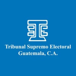 tribunal-Supremo-Electoral-TSE-1