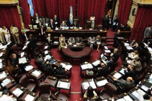 debate-on-omnibus-law-begins-in-argentine-senate