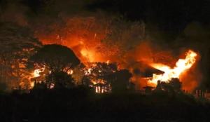 efforts-continue-to-control-a-large-wildfire-in-southwest-japan
