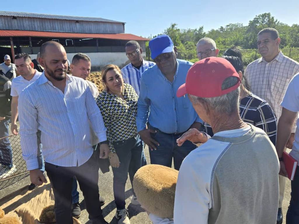 Cuban Vice President assesses economic program in Villa Clara