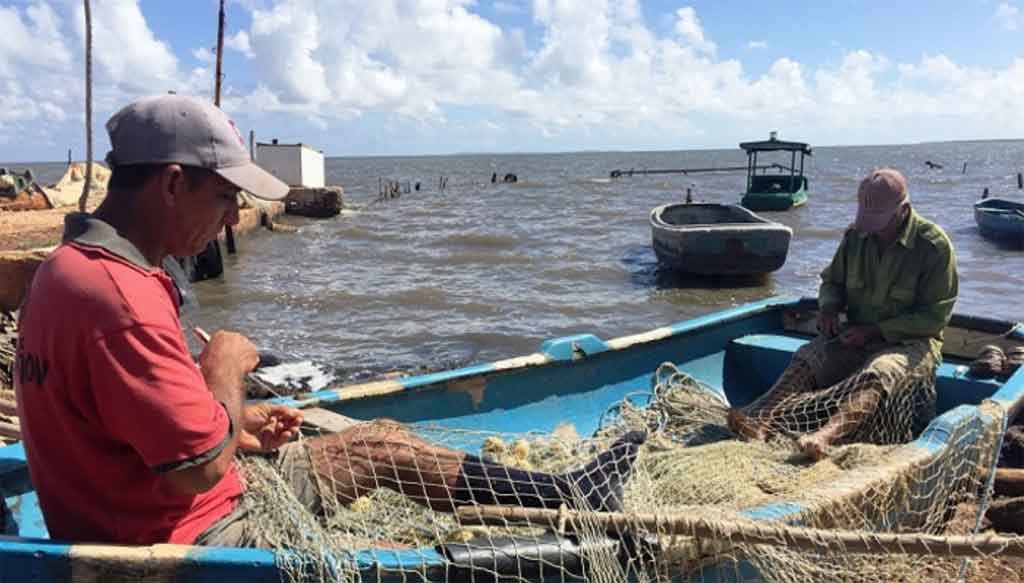 Cuba’s largest fishing industry enterprise to energy transformation